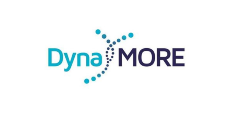 DynaMORE: Dynamic Modelling of Resilience